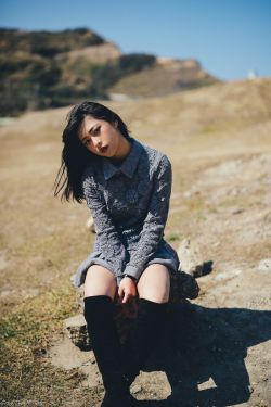 神犬小七